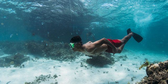 Catamaran cruise bernaches island full day trip (11)